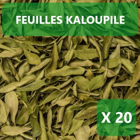 Feuilles kaloupilé X 40