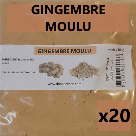 Gingembre moulu 100g X 20